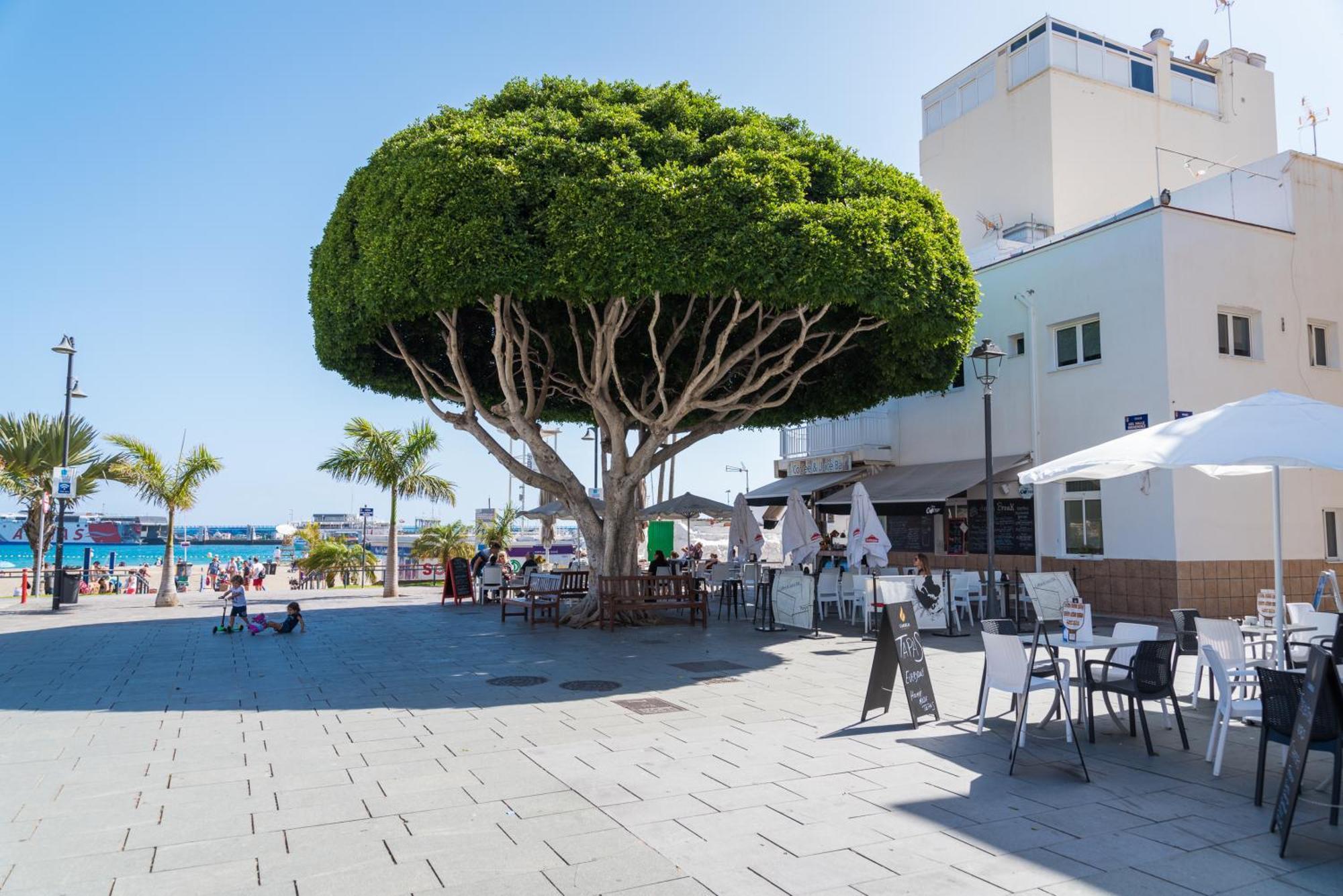 Modern Apartments Los Cristianos Center Zewnętrze zdjęcie